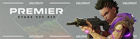 PREMIER V25A4 Card