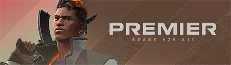 PREMIER V25A2 Card