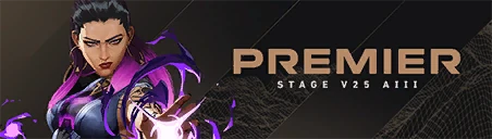 PREMIER V25A3 Card