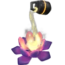 Lotus Buddy