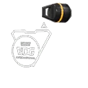 VCT x EDG Buddy