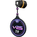 V25 ACT IV Coin Buddy